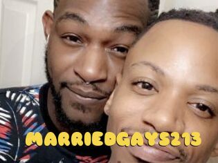 MARRIEDGAYS213