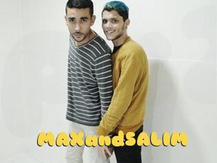 MAXandSALIM