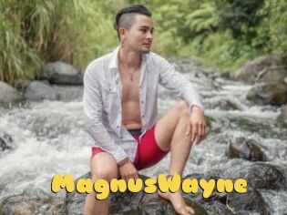 MagnusWayne