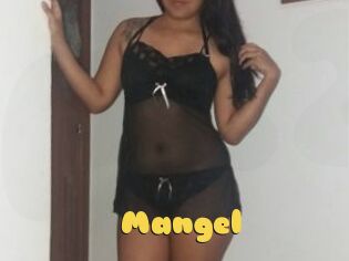 Mangel