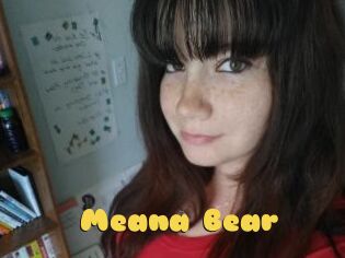 Meana_Bear