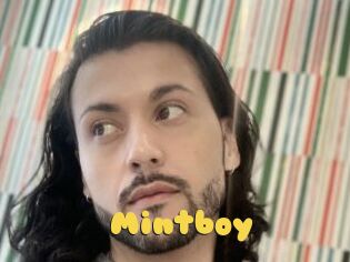 Mintboy