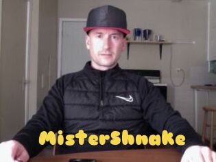 MisterShnake