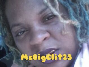 MsBigClit23