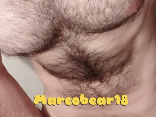 Marcobear18