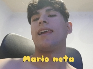 Mario_neta