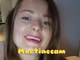 Martinecam