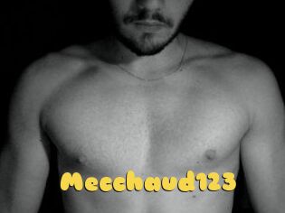 Mecchaud123