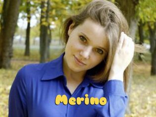 Merino