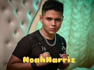NoahHarris