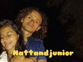 Nattandjunior