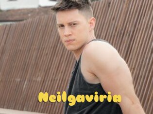 Neilgaviria