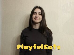 PlayfulCate