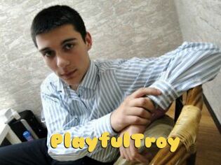 PlayfulTroy