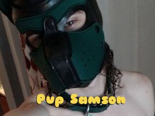 Pup_Samson