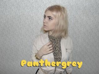 Panthergrey