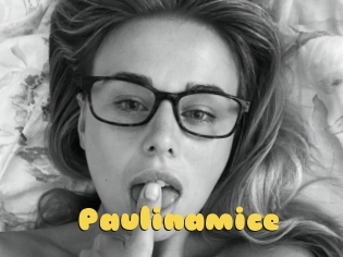 Paulinamice