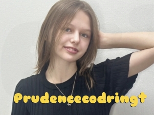 Prudencecodringt