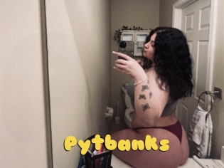 Pytbanks