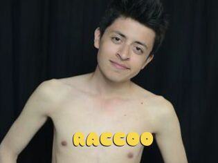 RACCOO