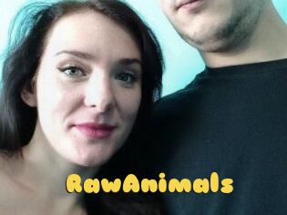 RawAnimals