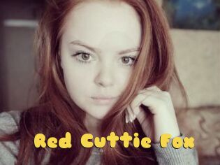 Red_Cuttie_Fox