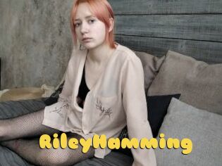 RileyHamming