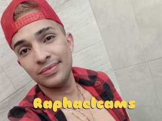 Raphaelcams