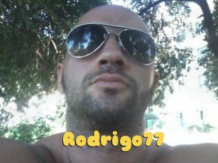 Rodrigo77