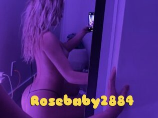 Rosebaby2884