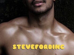 STEVEFORDINC