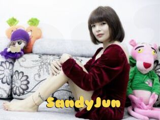 SandyJun