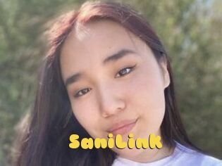 SaniLink