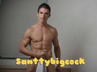 Santtybigcock