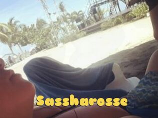 Sassharosse