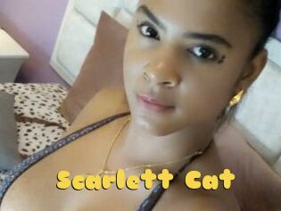 Scarlett_Cat