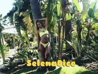 SelenaDice