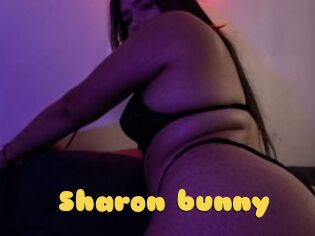 Sharon_bunny