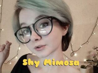 Shy_Mimosa