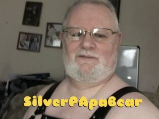 SilverPApaBear