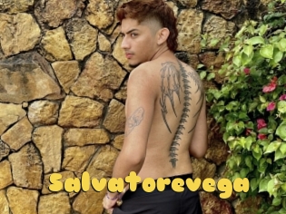 Salvatorevega