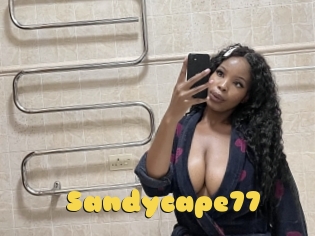 Sandycape77