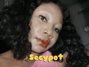 Secypot