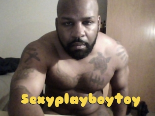 Sexyplayboytoy