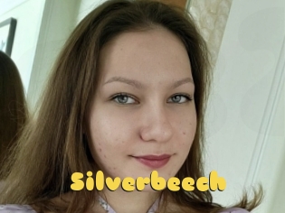 Silverbeech