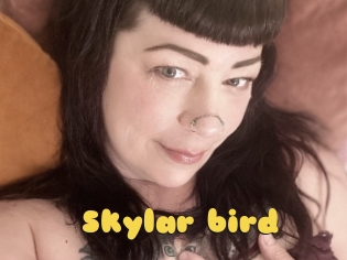 Skylar_bird