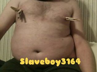 Slaveboy3164