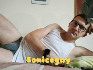 Sonicegay