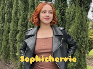 Sophicherrie