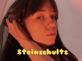 Steinschultz